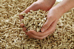 pellet granule bois
