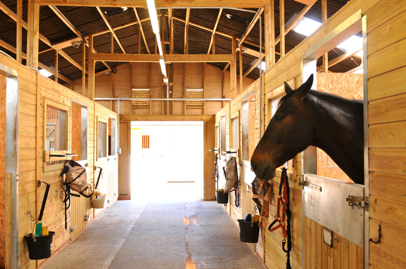 Prix Et Construction D un Box Chevaux Tarif Co t Devis