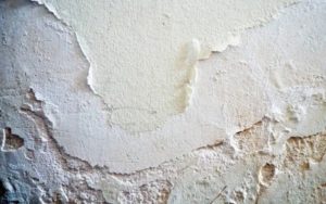 Humidité et moisissure sur le mur