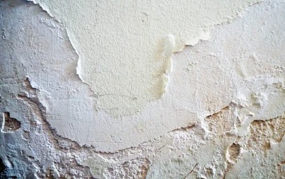 Nettoyer moisissure au mur : quels produits utiliser ?